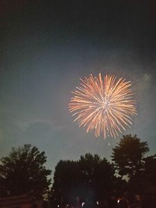 Golden fireworks illuminate the night sky above trees during a community Independence Day celebration in New Jersey.