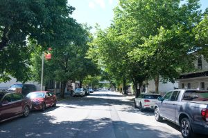 Tree-lined residential neighborhood in Burlington County NJ representing the decision of whether to remain in a community or move.