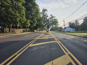 Historic tree standing in the center median of Quakerbridge Road in Hamilton Township NJ during a summer morning.