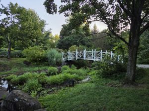 White pedestrian bridge crossing a small stream at Sayen House and Gardens in Hamilton Square NJ surrounded by mature trees and landscaped gardens.