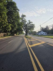 Tree standing in the middle of Quakerbridge Road in Hamilton Township NJ along the historic route associated with George Washington’s march toward Princeton.